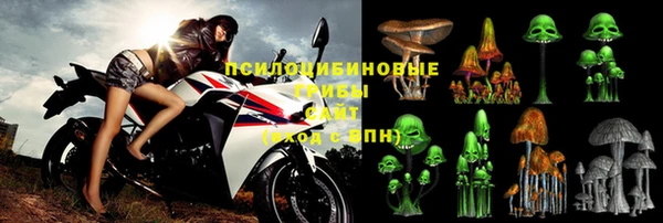 PSILOCYBIN Армянск