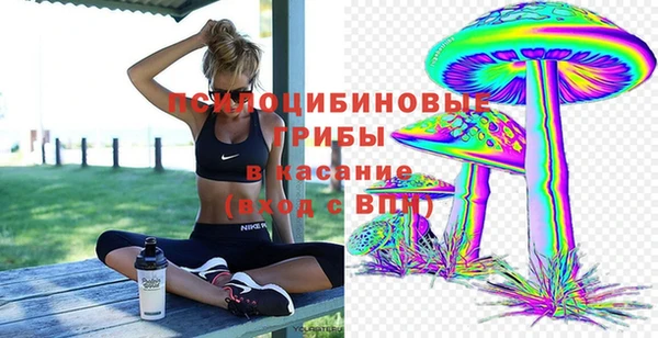 мдпв Арсеньев