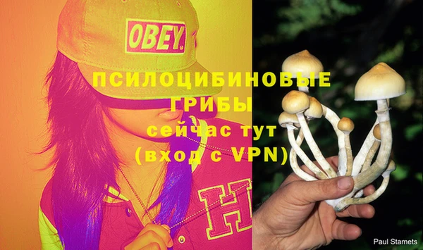 кристаллы Новодвинск