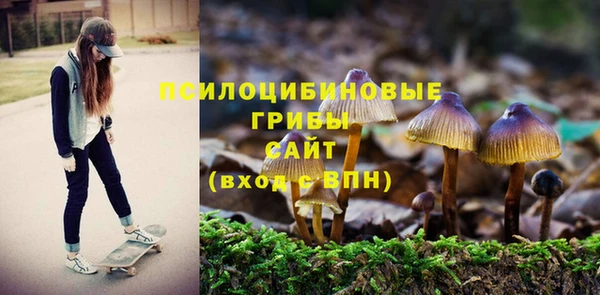 кристаллы Новодвинск